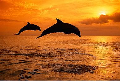 15周年名作献礼 玩家打造N64重制版《传送门》最新演示